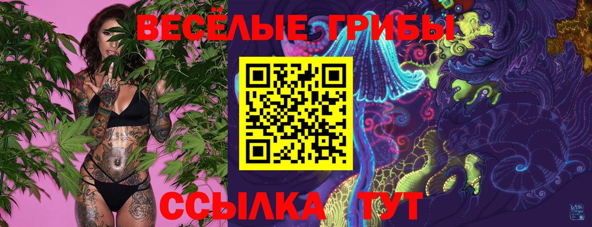Галлюциногенные грибы Psilocybine cubensis  Галлюциногенные грибы Psilocybine cubensis  Вход с VPN  Тобольск 